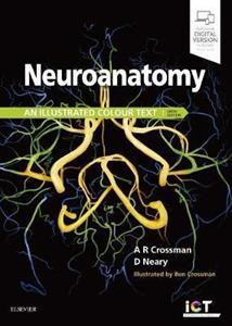 NEUROANATOMY: AN ILLUSTRATED COLOUR TEXT