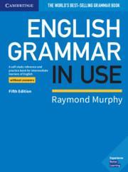 ENGLISH GRAMMAR IN USE WO/ANSWERS 5TH EDITION