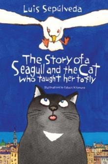 STORY OF A SEAGULL AND THE CAT