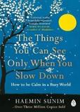 THE THINGS YOU CAN SEE ONLY WHEN YOU SLOW DOWN : HOW TO BE CALM IN A BUSY WORLD
