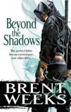 BEYOND THE SHADOWS : BOOK 3 OF THE NIGHT ANGEL