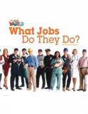 WHAT JOBS DO THEY DO? (BRITISH)