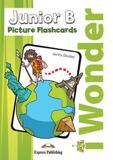 I WONDER JUNIOR B PICTURE FLASHCARDS