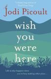 WISH YOU WERE HERE : A NOVEL