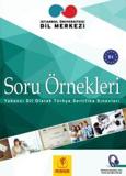 SORU ORNEKLERI B1