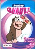 GRAMMARVILLE A & B JUNIOR TEACHER'S BOOK ΒΙΒΛΙΟ ΚΑΘΗΓΗΤΗ